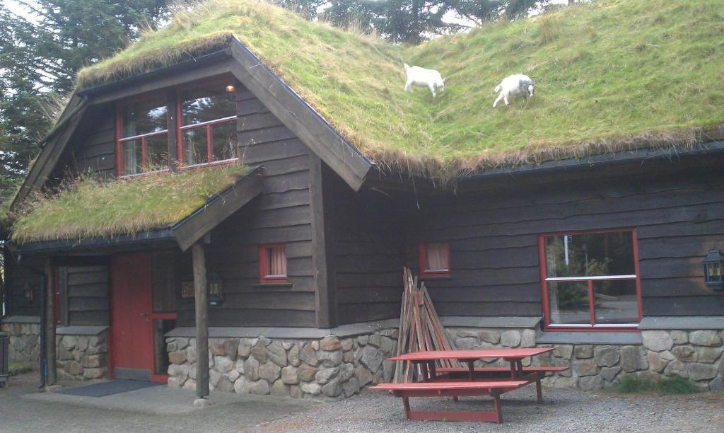 Hotel Holmavatn Ungdoms Og Misjonssenter Varhaug Exterior foto