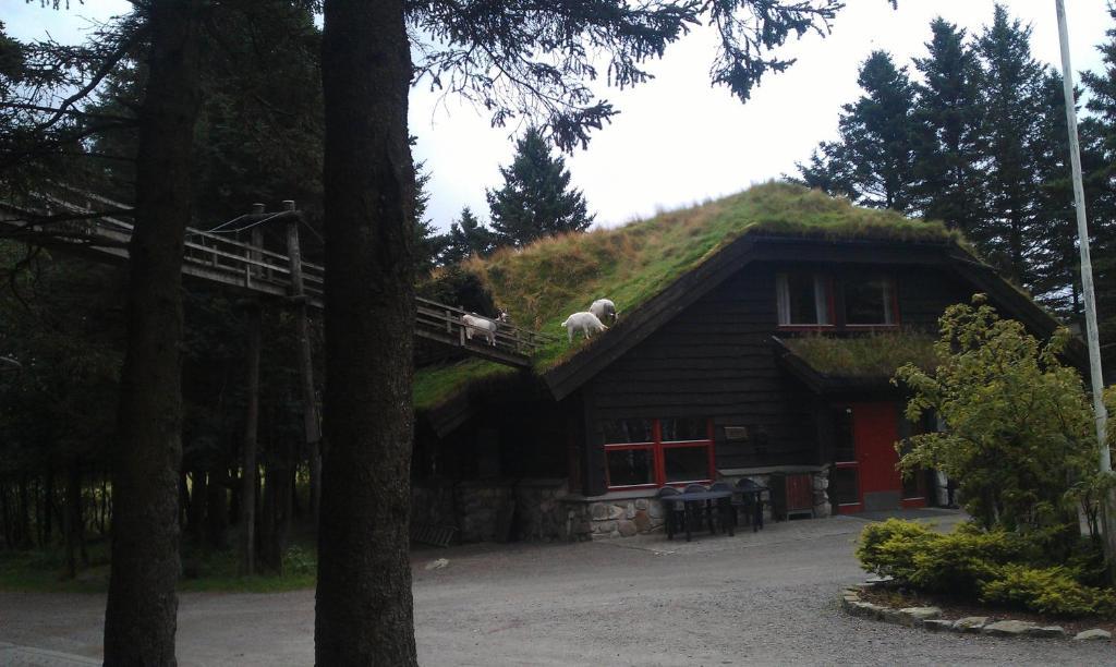 Hotel Holmavatn Ungdoms Og Misjonssenter Varhaug Exterior foto
